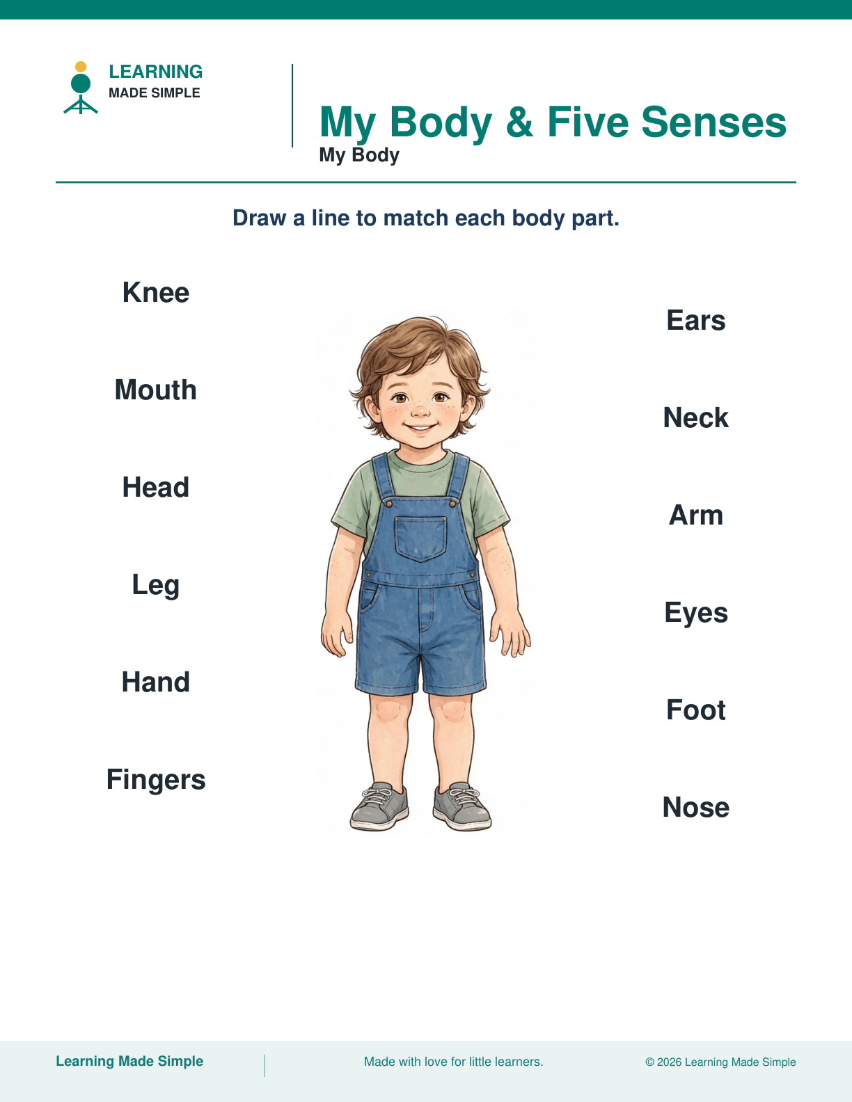 Preview of My Body from My Body & Five Senses