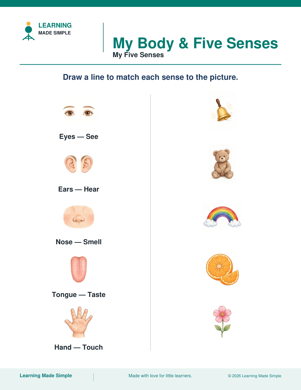 Preview of My Five Senses from My Body & Five Senses