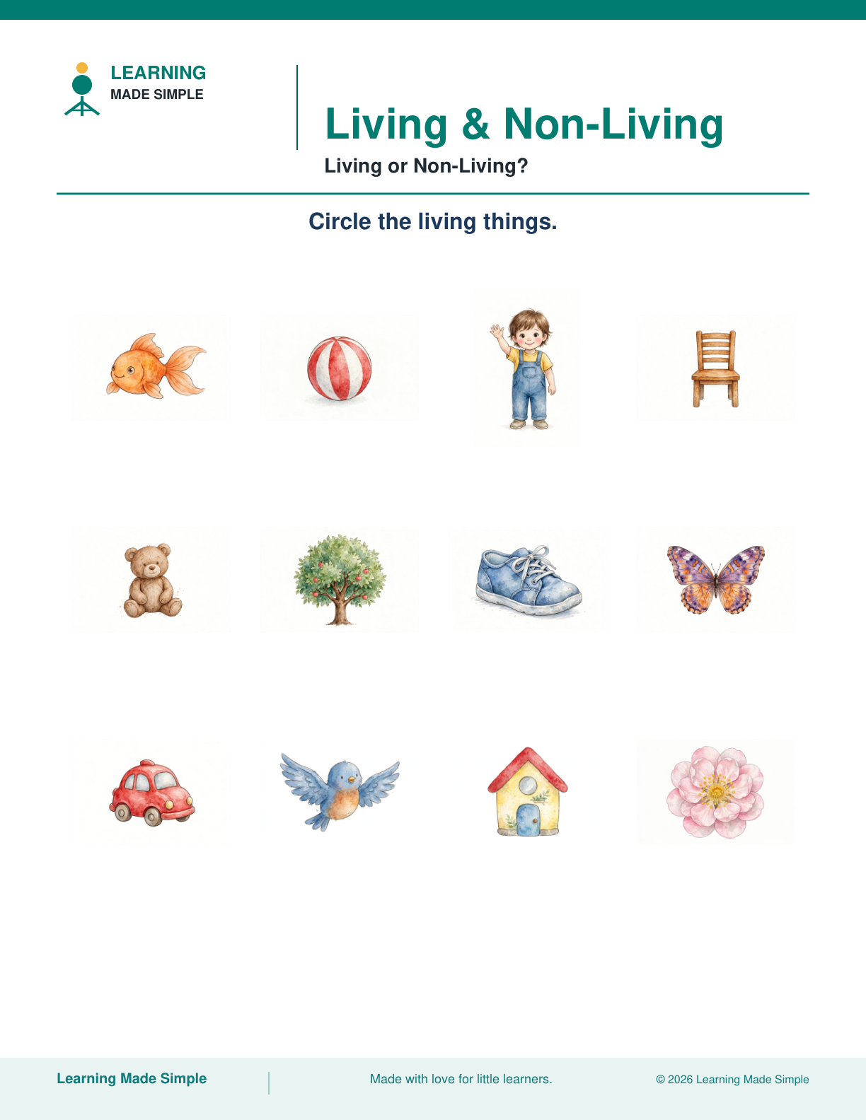 Preview of Living or Non-Living? from Living & Non-Living