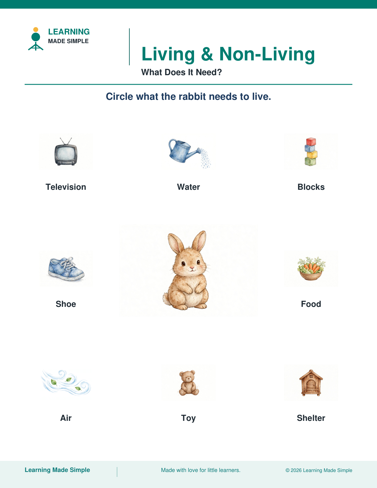 Preview of What Does It Need? from Living & Non-Living