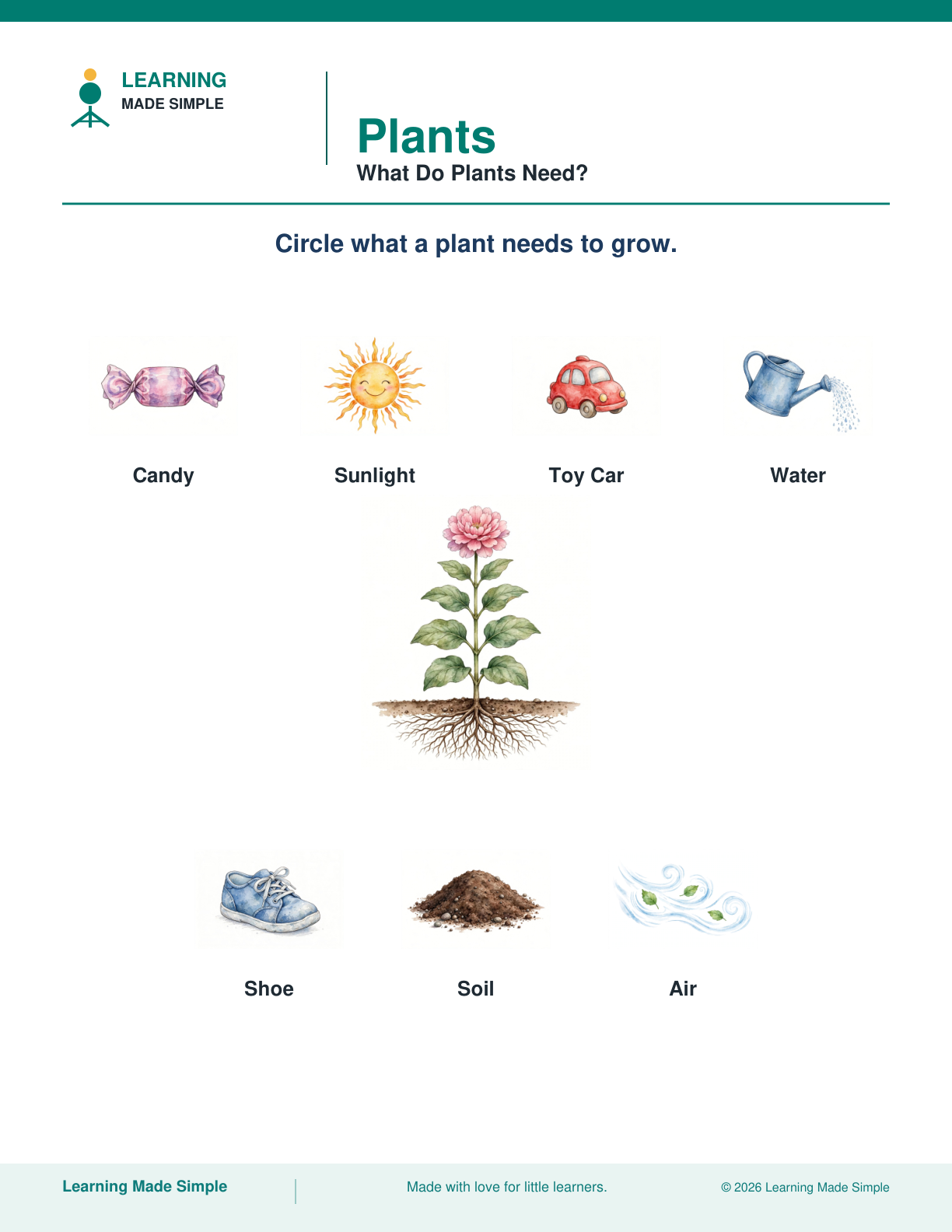 Preview of What Do Plants Need? from Plants