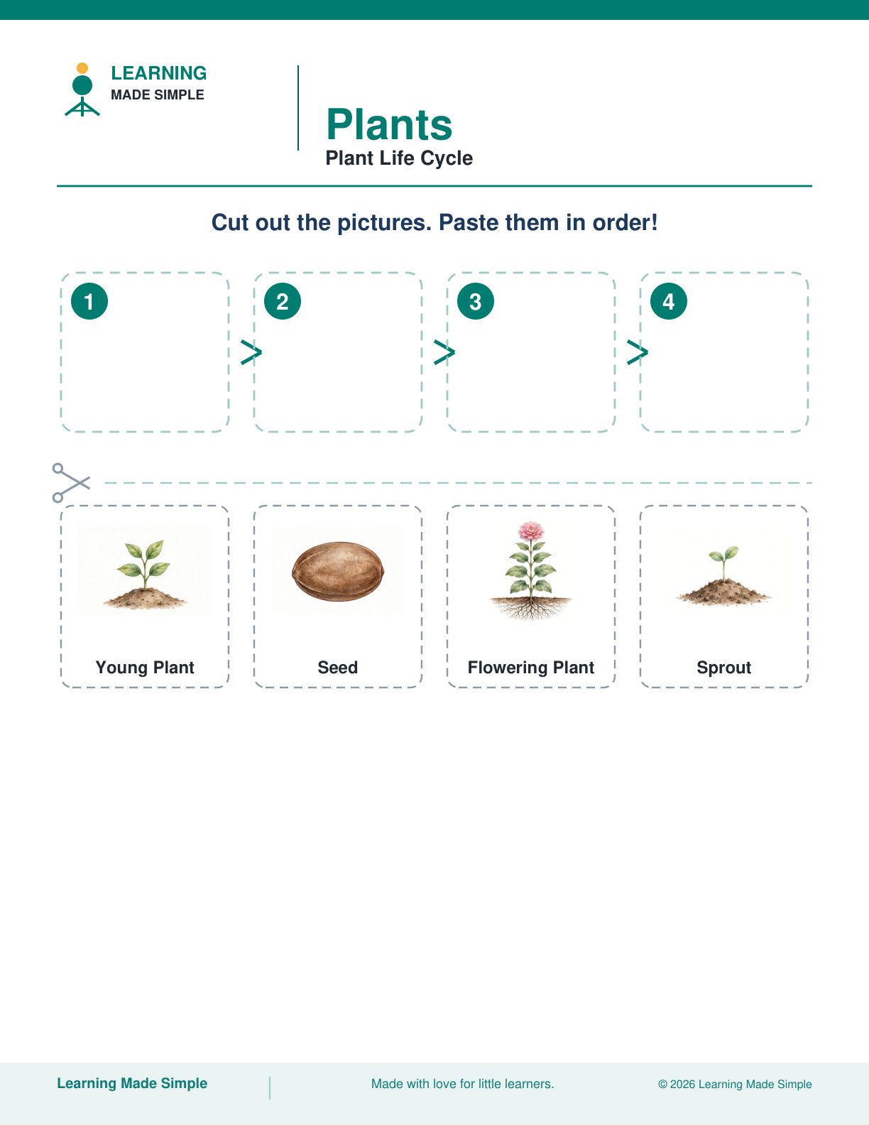 Preview of Plant Life Cycle from Plants
