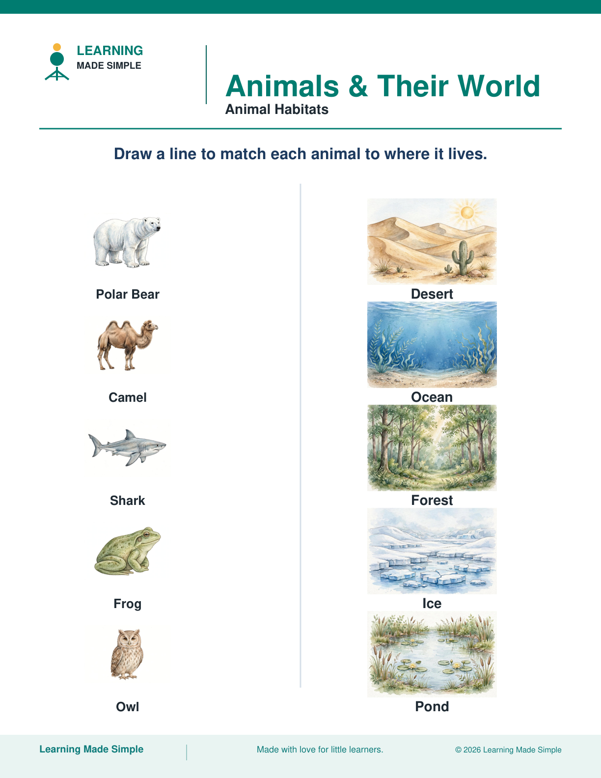 Preview of Animal Habitats from Animals & Their World