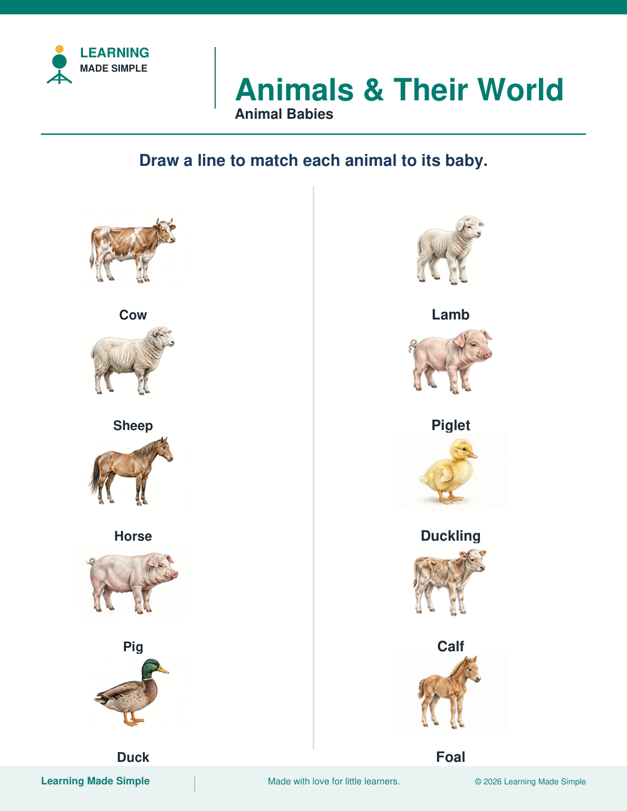 Preview of Animal Babies from Animals & Their World
