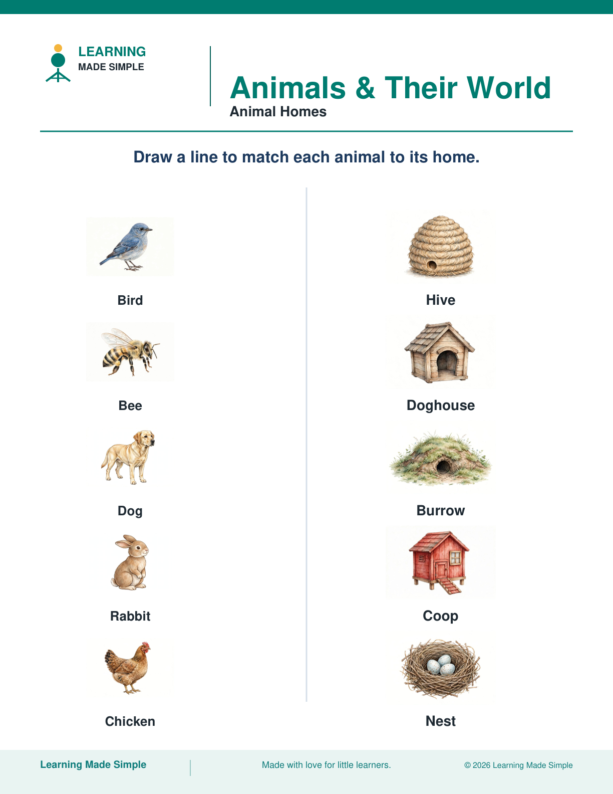 Preview of Animal Homes from Animals & Their World