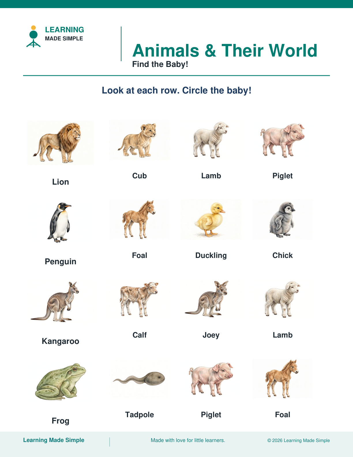 Preview of Find the Baby! from Animals & Their World