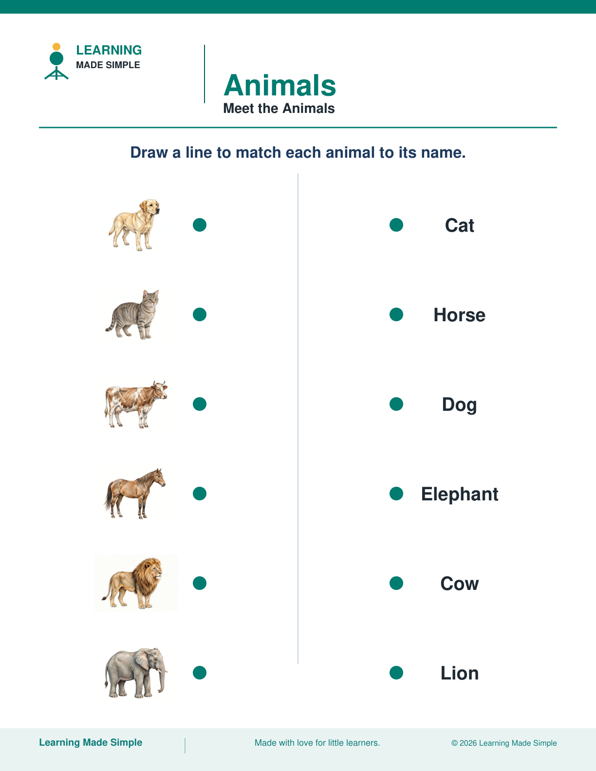Preview of Meet the Animals from Animals