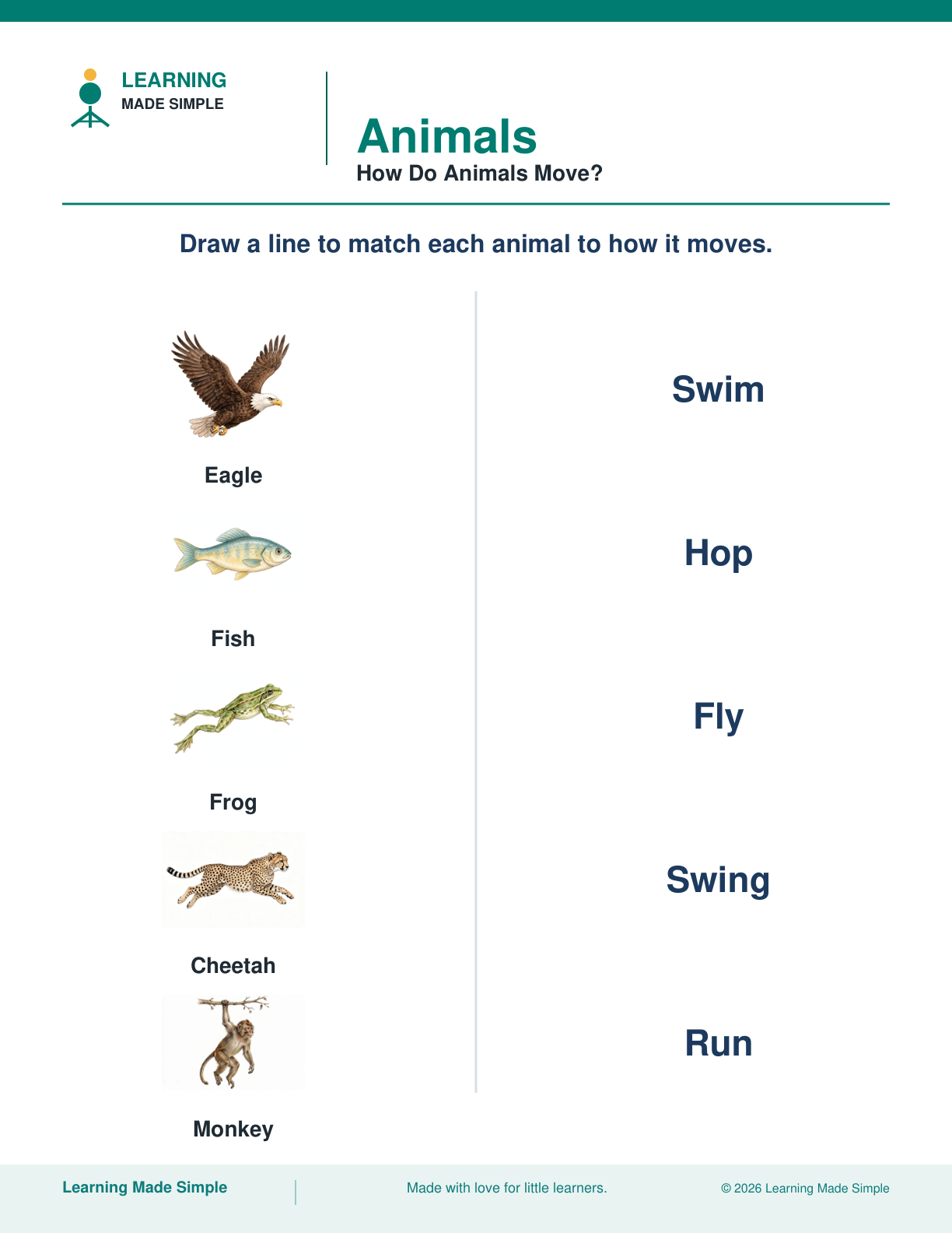 Preview of How Do Animals Move? from Animals