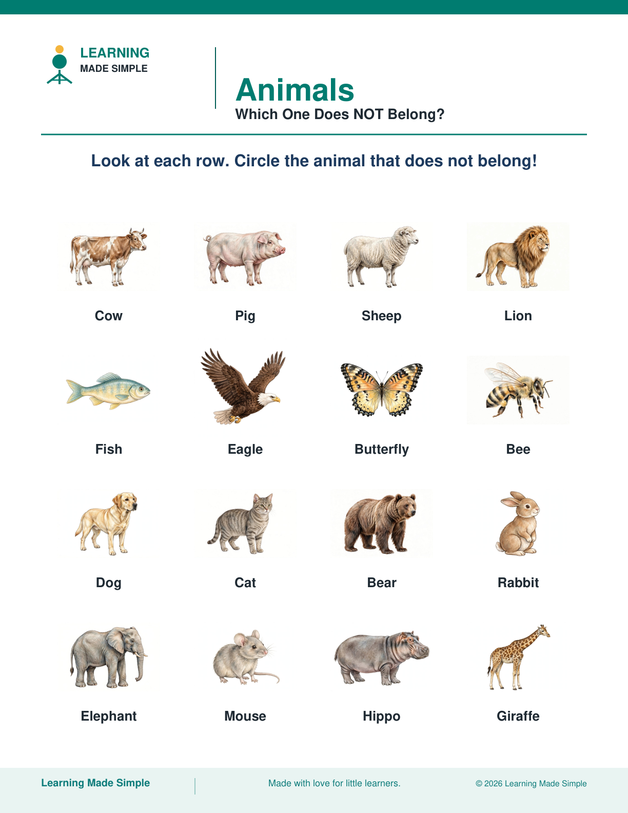 Preview of Which One Does NOT Belong? from Animals