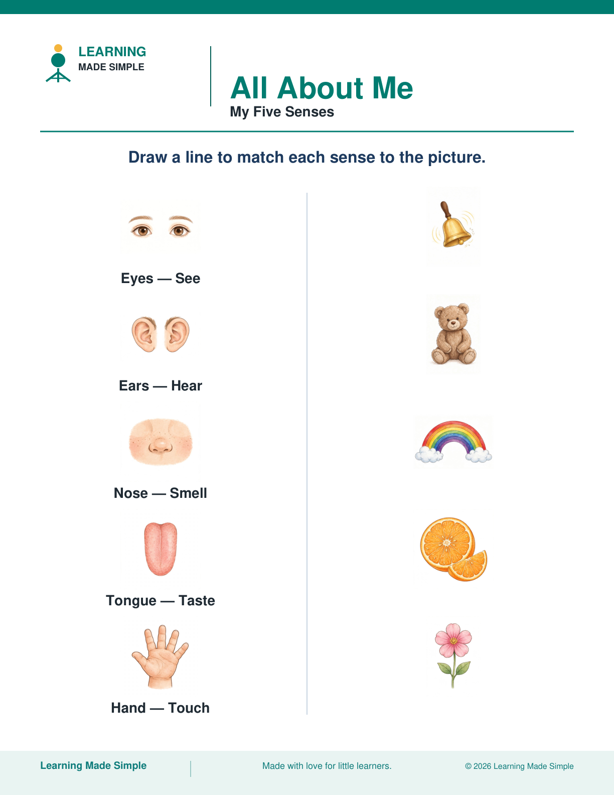 Preview of My Five Senses from All About Me